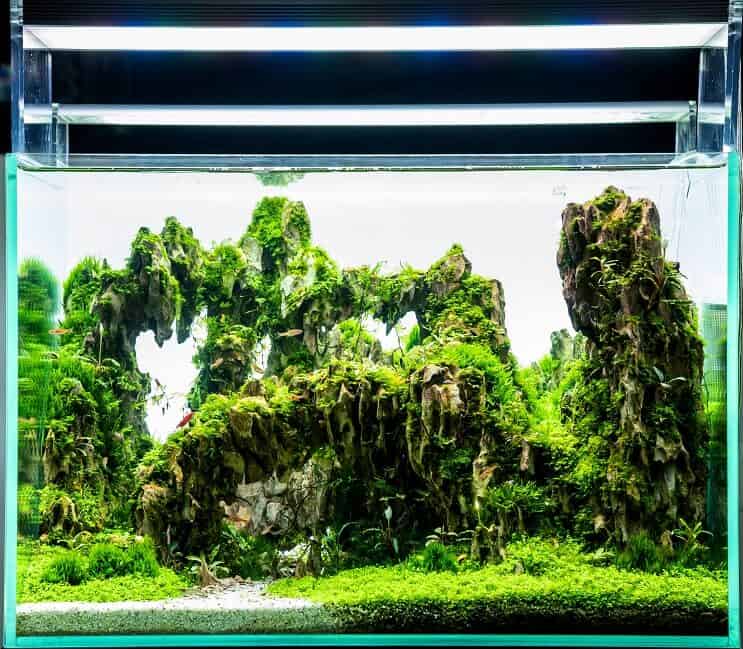 LED осветление на резервоара