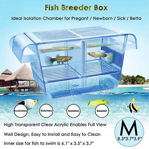 capetsma Fish Breeder Box, Hang-on Nursery Fish Tank с разплодна инкубаторна кутия за аклимация, Perfect Fish Tank Разделител за агресивно наранена бременна риба Малка риба саламура Скариди Clownfish