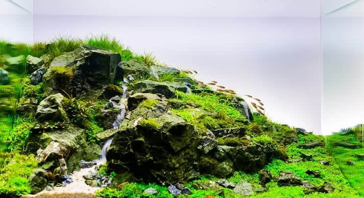 Аквариум Aquascape